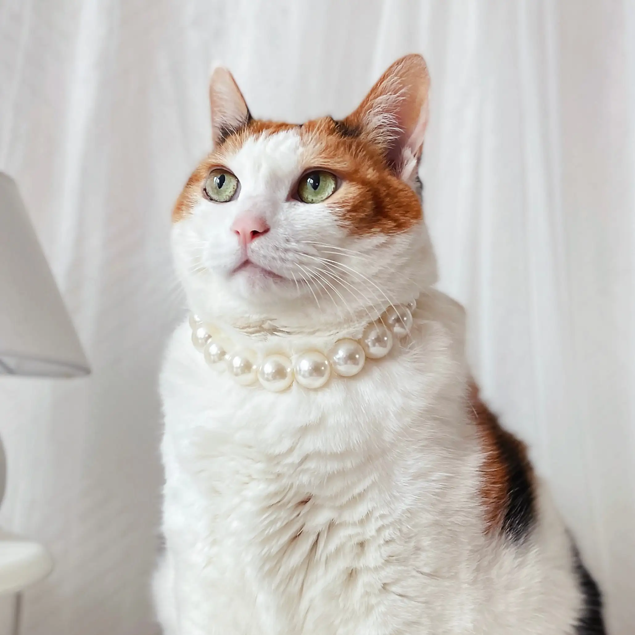 New pet necklace Elegant Handmade Cat Dog Pearl Necklace Gift Wedding Halloween Costume Suitable for Small Dog Cat Take Pictures