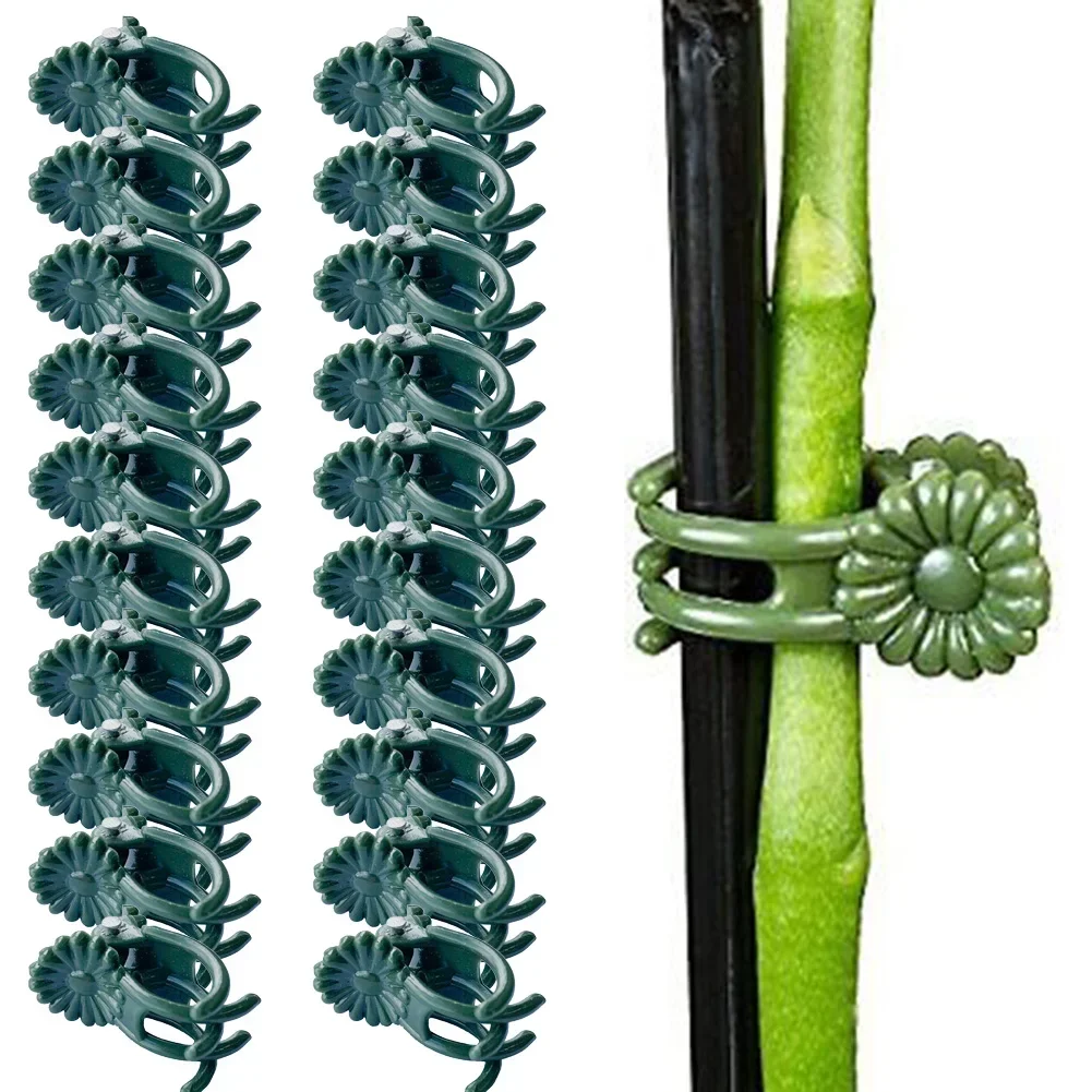 20pcs/set Garden Plant Clips Grafting Clips Support Clips Tied Vine Clips Flower Frui20pcs/set Garden Plant Clips Grafting Clips