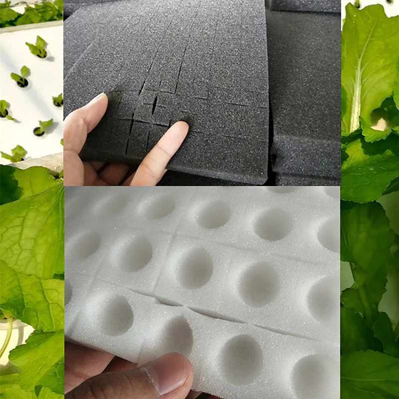 1 Sheet Soilless Hydroponic Cloning Garden Pots Nursery Collar Seedlings Plant Vegetables Cultivat Black Seedling Sponge