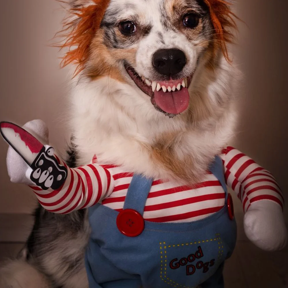 yZ[zʔRXvRX`[nEBp[eB[ybgL킢qAp[NV[`WvX[c