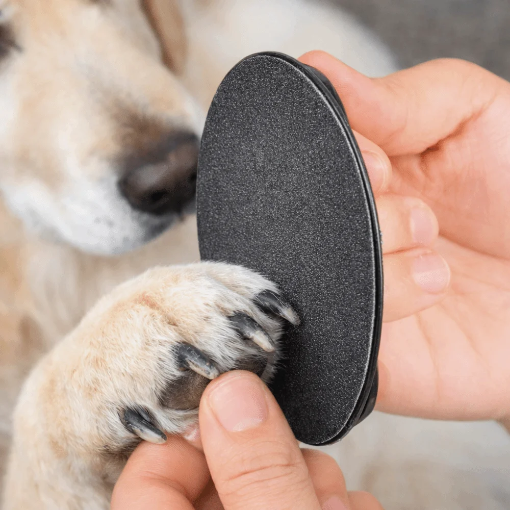 Replaceable Sandpaper Dog Nail File Board Portable Efficient Dog Nail Scratch Board Wear Resistant Pet Scratch Pad