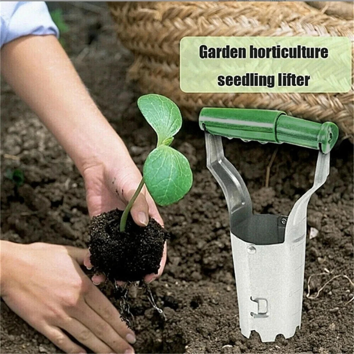 Stainless Steel Seedling Transplanter Digging Pits Sowing Seedling Tools Planting Vegetable Gardening Hole