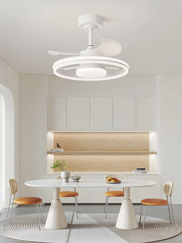 

Nordic Modern Simple Luxury Silent Practical Living Room Bedroom Hall Ceiling Fan Light