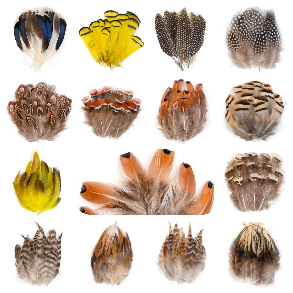 

Wholesale Natural Pheasant Feathers Peacock Goose Small Plume for DIY Crafts Jewelry Making Holiday Party Christmas Decoration