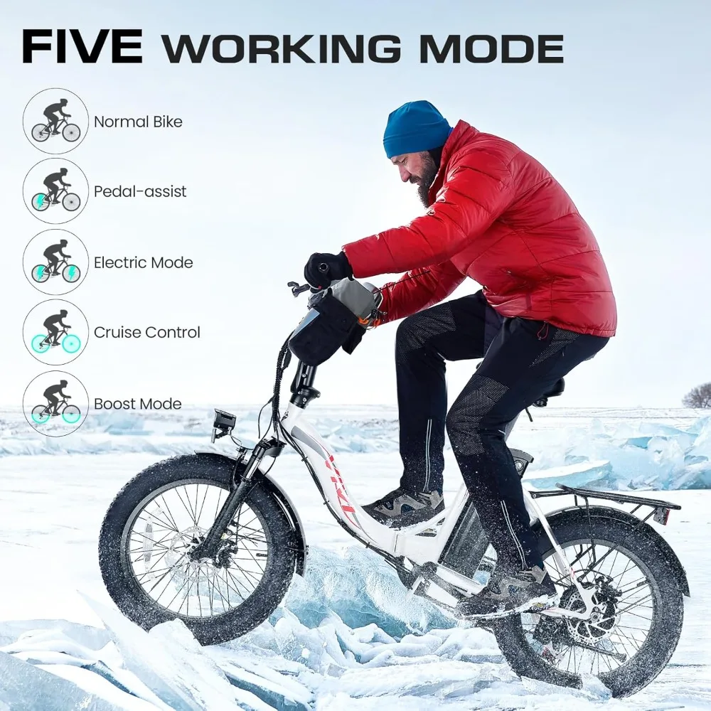 Foldable Electric Bike, 20