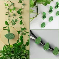 10/30/50Pcs Plant Climbing Wall Fixture Clips Rattan Vine Fixer Self-Adhesive Hook Invisible Garden Binding Clip Wall StickyClip 4