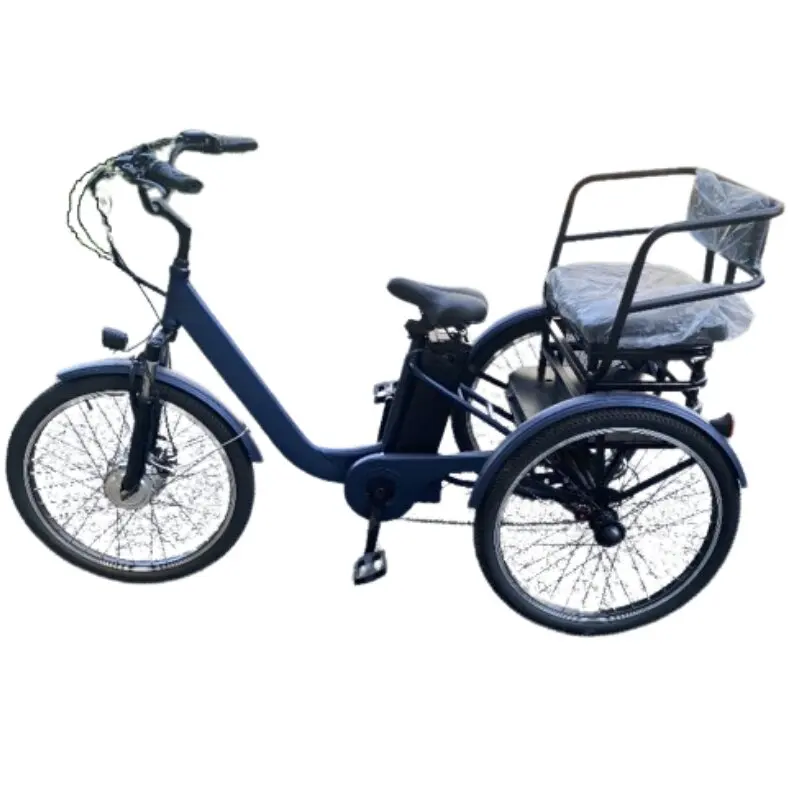 3 Wheel E Bike Electric Bicycle For Men 350w 48v Electric Tricycle With Passenger Seat For Adult Elderly Removable Battery