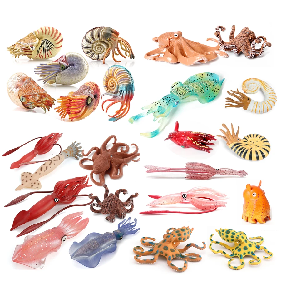 Figuras de modelo de plástico de Mollusco marino de simulación, Nautilus, amonita, calamar, pulpo, juguete educativo de animales Sealife para niños