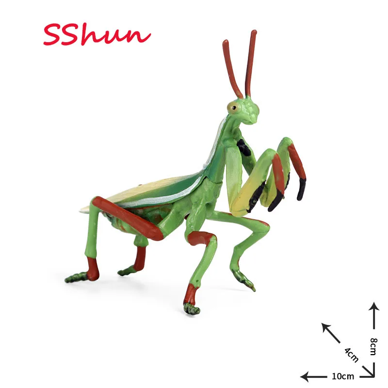 New Collection Children cognitive simulation animal insect model static solid plastic toy mantis grasshopper decorative ornament