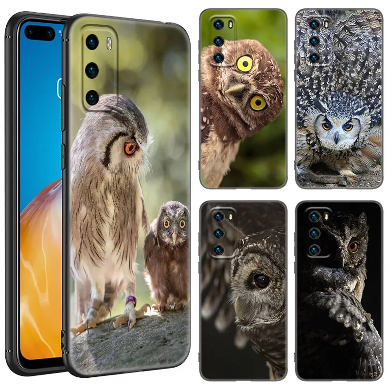 Animal Owl Black Silicone Phone Case For Huawei P10 P20 P30 P40 Lite P50 P60 Art P50E P Smart Z 2018 2020 2021 Pro 2019