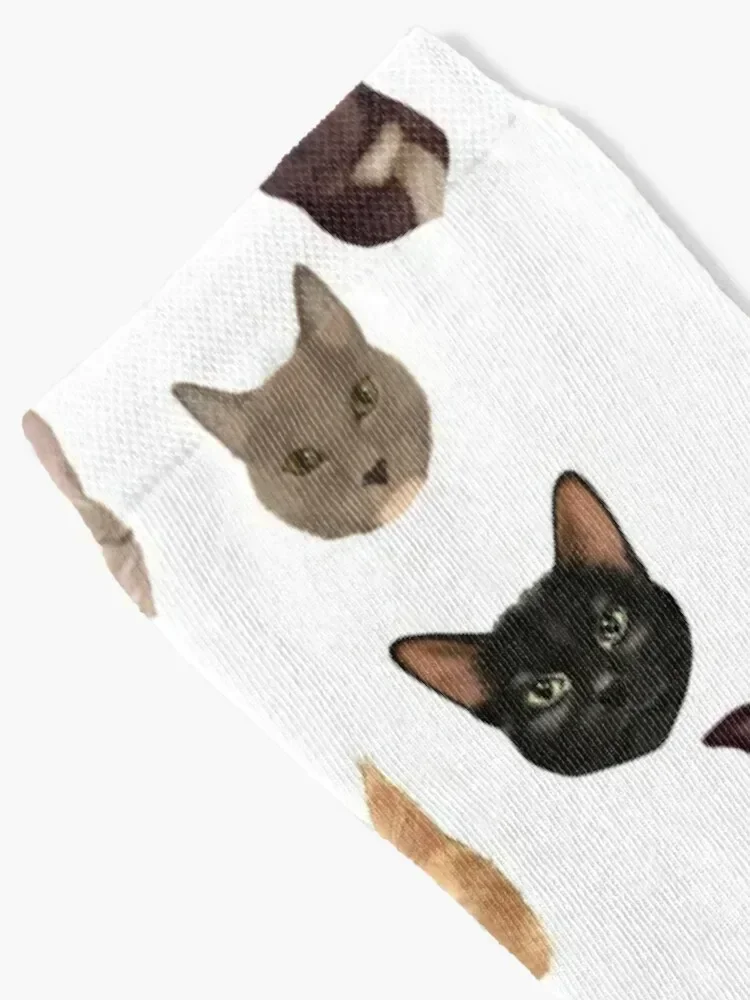 Cats and Dog Portraits Socks colored aesthetic sheer loose Socks Men Women's