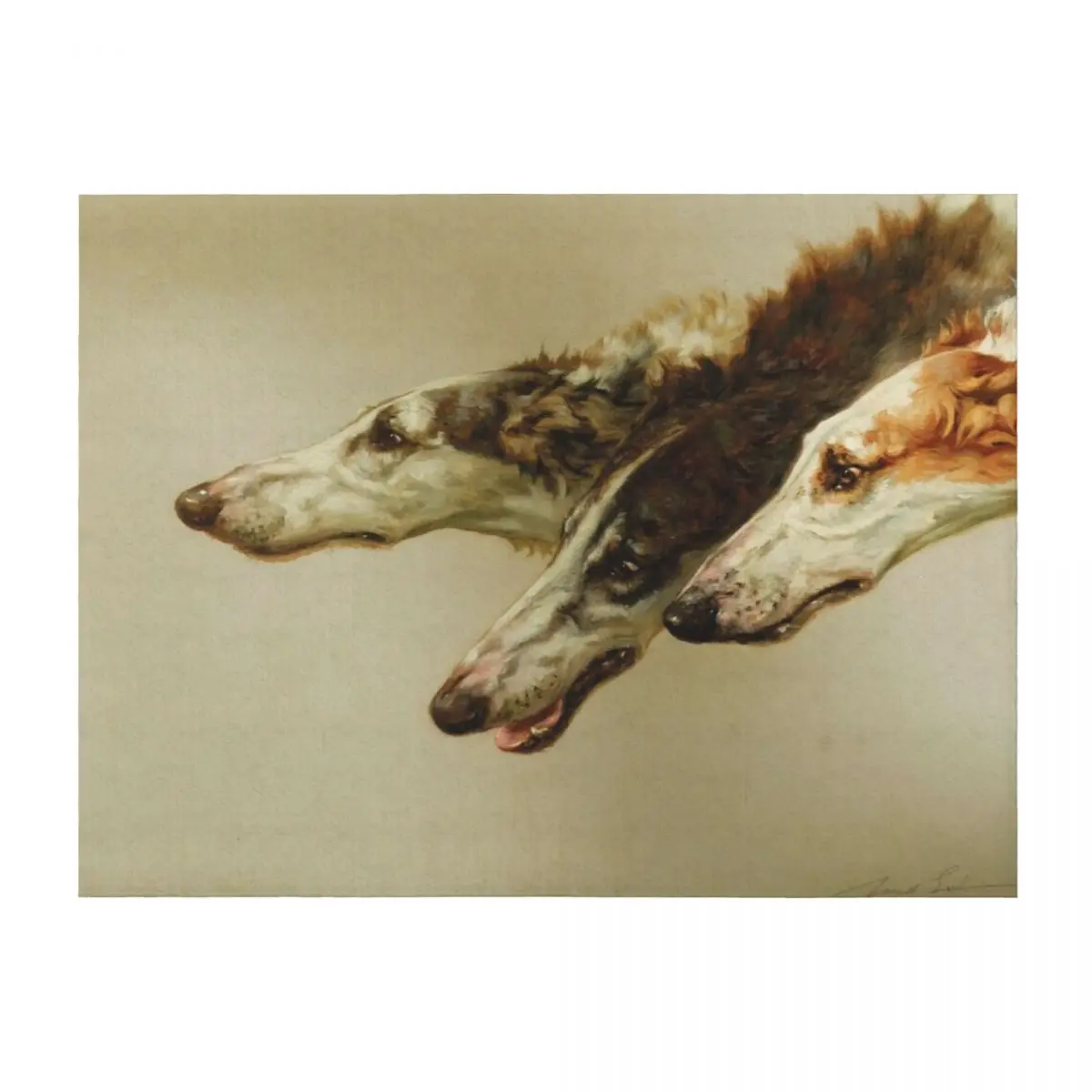 

Barzoi Heads Throw Blanket Decoratives Thin bed plaid For Decorative Sofa Blankets
