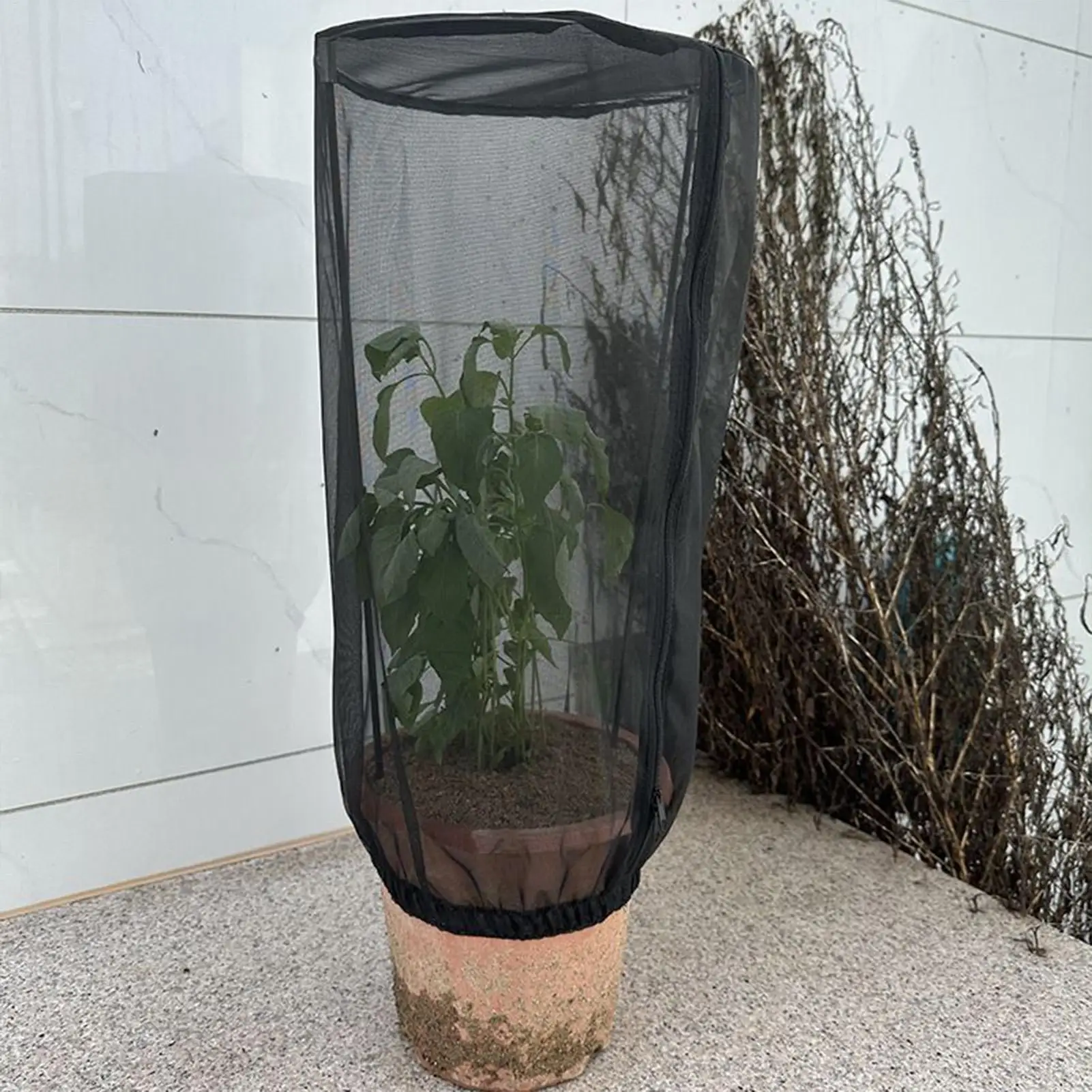 Plant Covers 2 Pieces Protective Garden Bird Barrier Mesh Plant Pot Covers for Potted Tomato Vegetables Blueberry Bushes Fruit