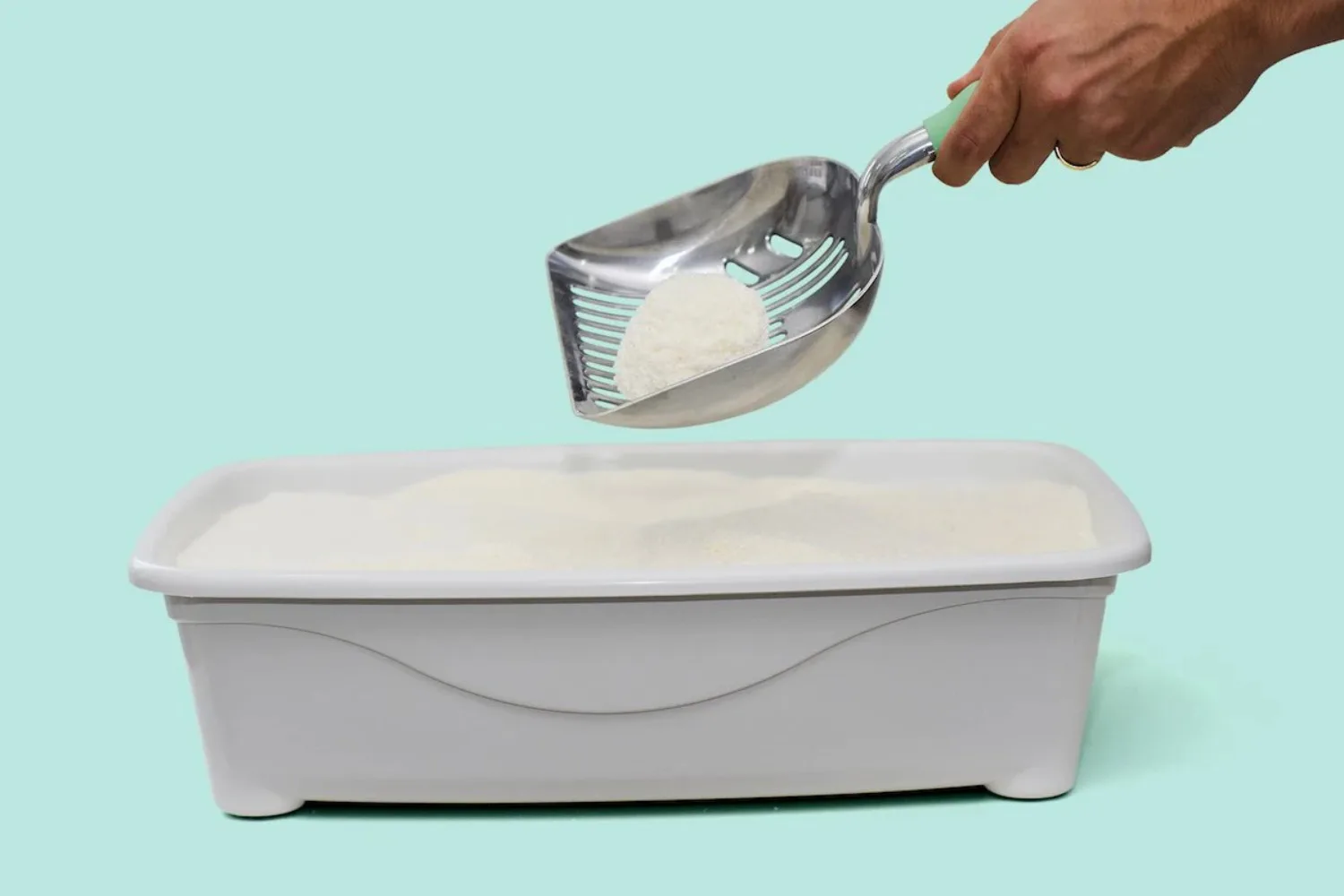 نبات الذرة القابل للتحلل الحيوي الكسافا كات 100% مادة طبيعية رمل التوفو للقطط لتنظيف القطط