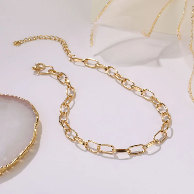 Popular Stainless Steel Thick Chain Necklaces Necklaces for Women Punk Minimalist Metallic Men Choker Necklace Party Jewelry