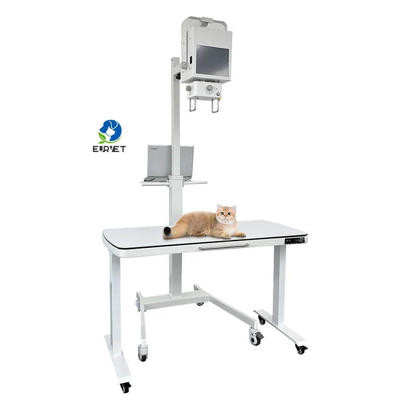 EUR VET Veterinary Equipment Medical Imaging  Digital Pet X Ray Machine High Frequency X-ray