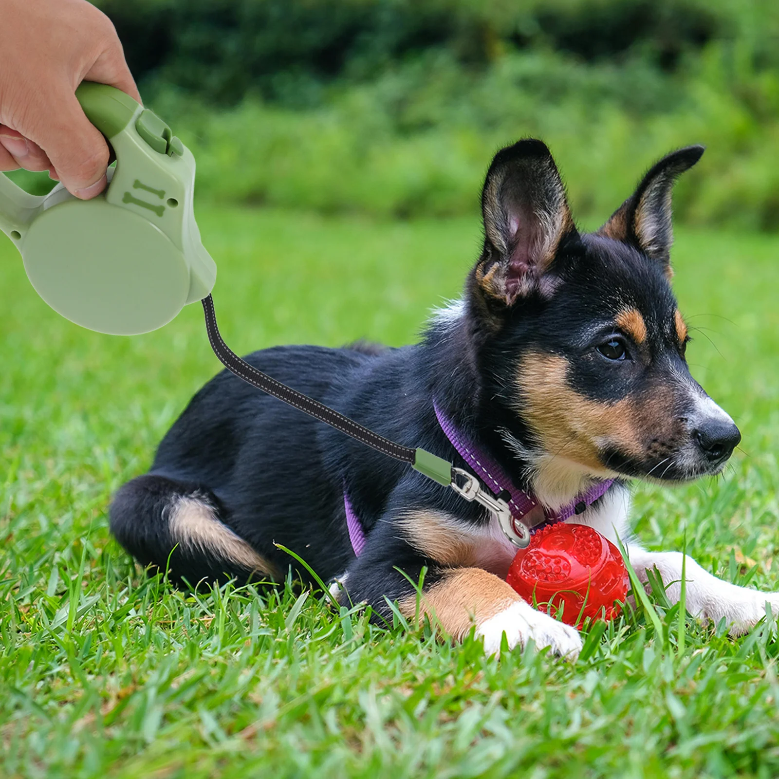 

Automatic Retractable Dog Leash 3M/5M For Small Medium Dogs Abs Durable Brake Lock Telescopic Pet Traction Rope