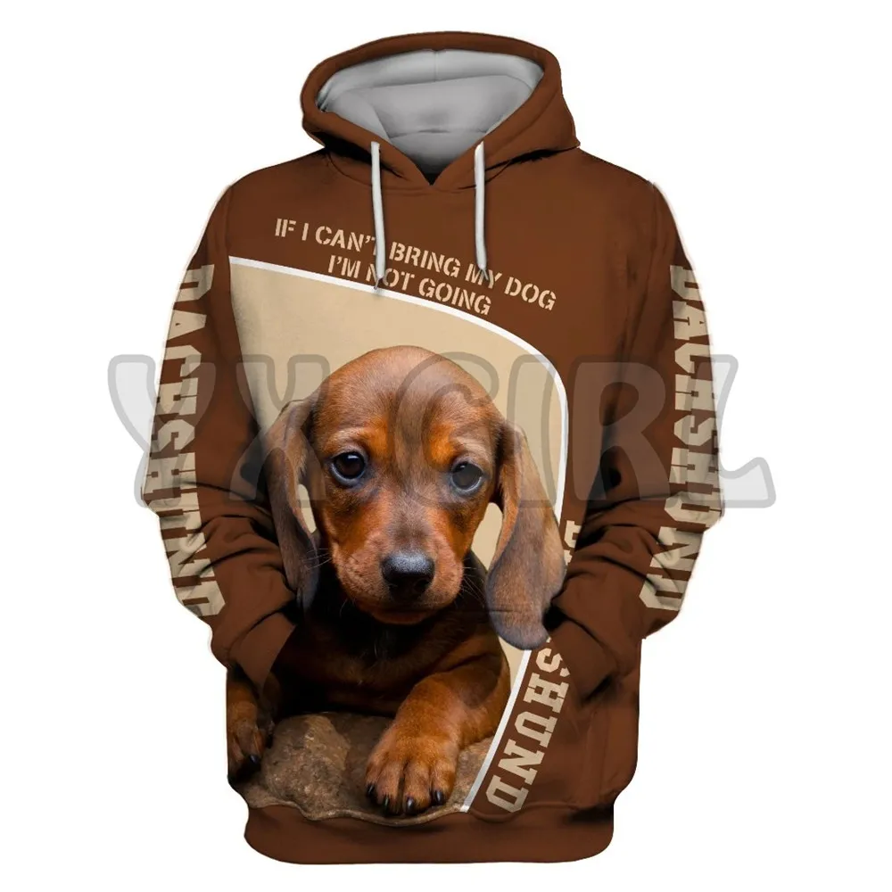 

If I Cant Bring My Dog Im Not Going Dachshund 3D All Over Printed Hoodies Pullovers Street Tracksuit Love Dog Gift