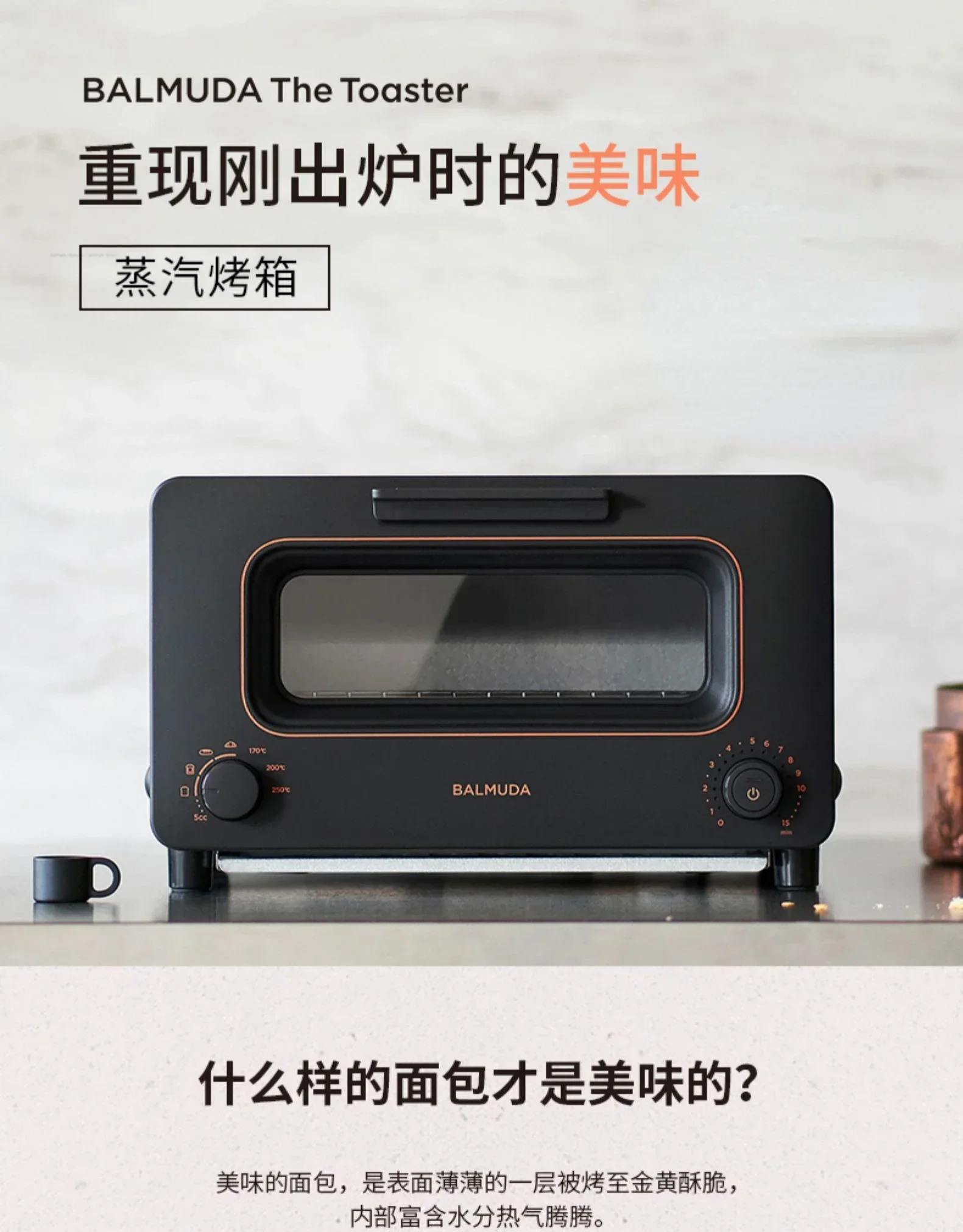 BALMUDA New Oven Home Steam Electric Oven Multifunctional Baking Fried Chicken