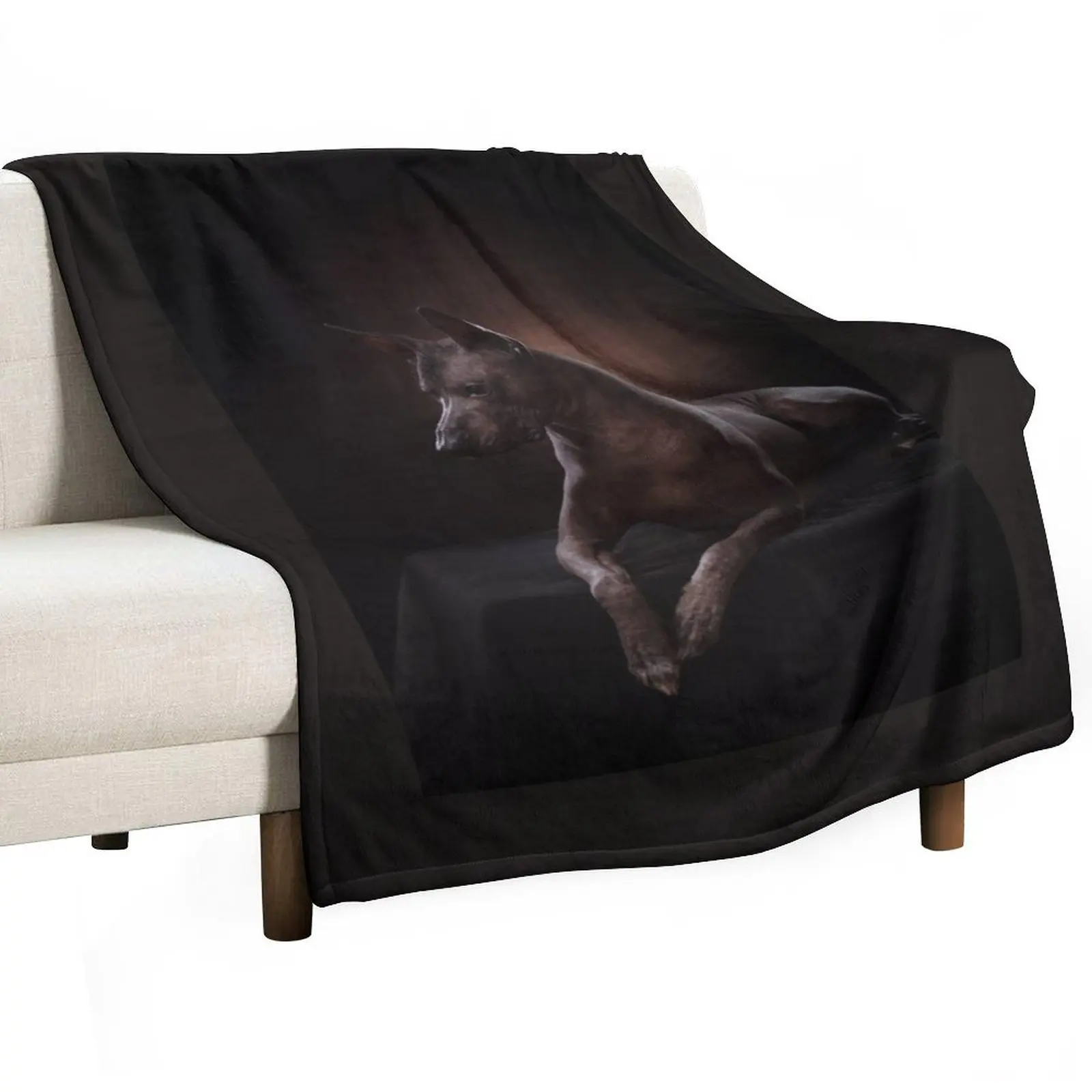 

Xoloitzcuintle Throw Blanket Soft Plaid Bed linens Fashion Sofas blankets ands Blankets