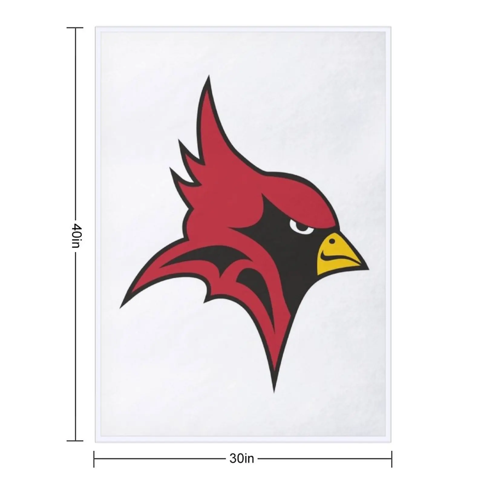 سانت جون فيشر كاردينالز رمي بطانية لفصل الشتاء للأريكة بطانيات رقيقة لبطانيات المانجا للسرير #2