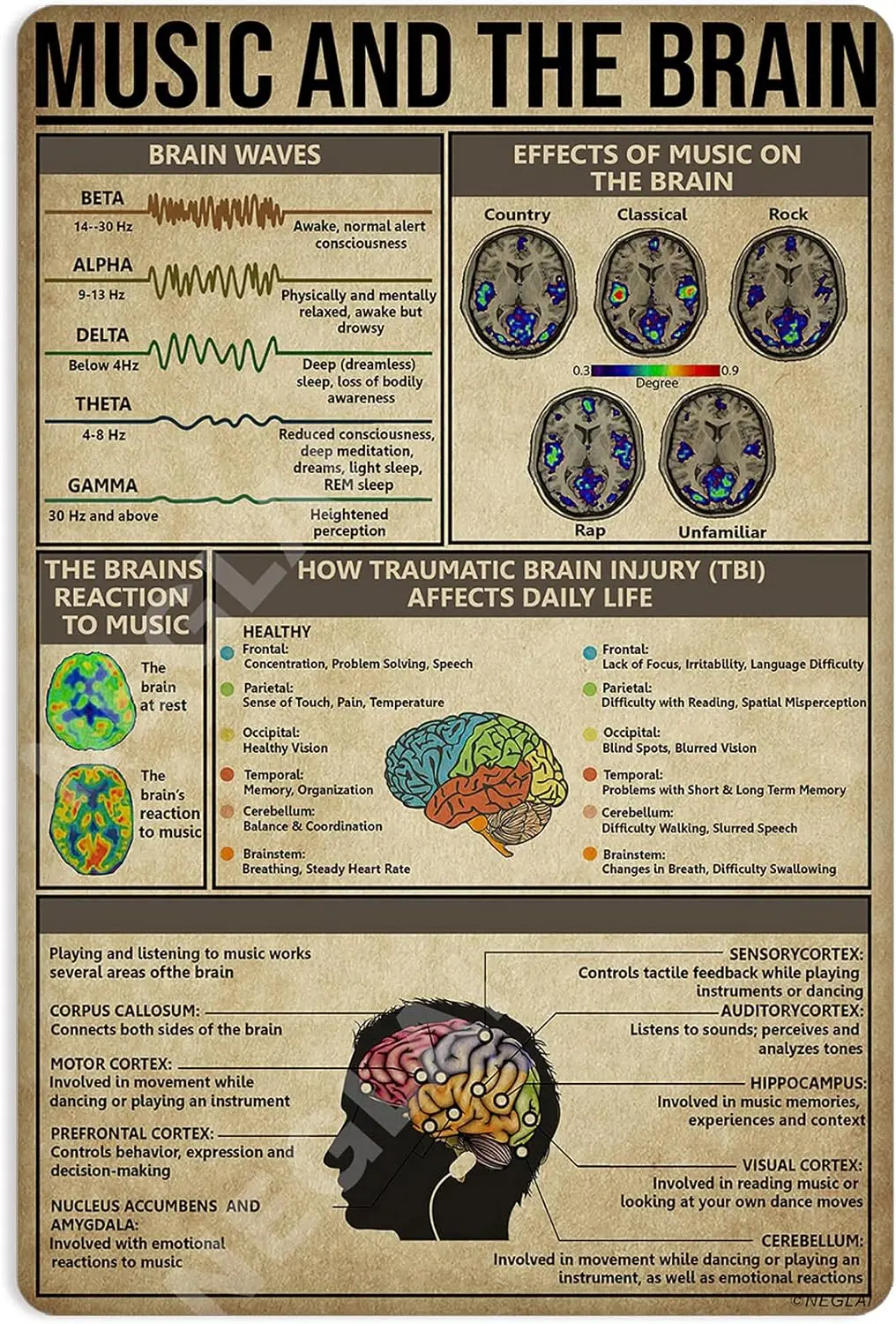 Music and The Brain Knowledge Metal Signs Poster, Vintage Wall Decor Farmhouse Decorations 16x12 Inches