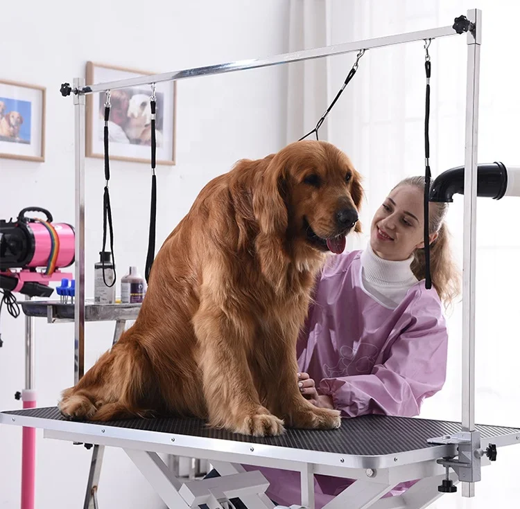 Veterinary Hydraulic Small Electric Lifting Pet Grooming Table For Dogs With Led Light