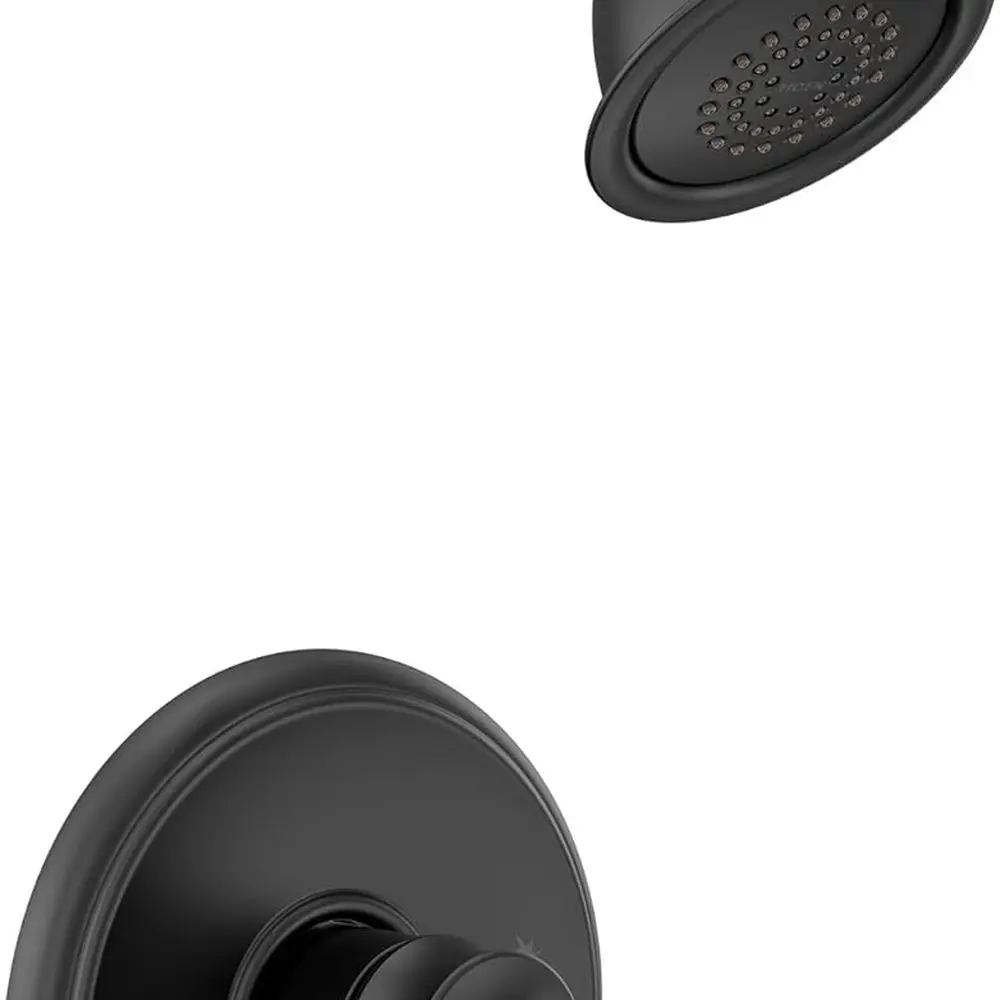 

Eco-Friendly Matte Black T2182EPBL Dartmoor Posi-Temp Shower