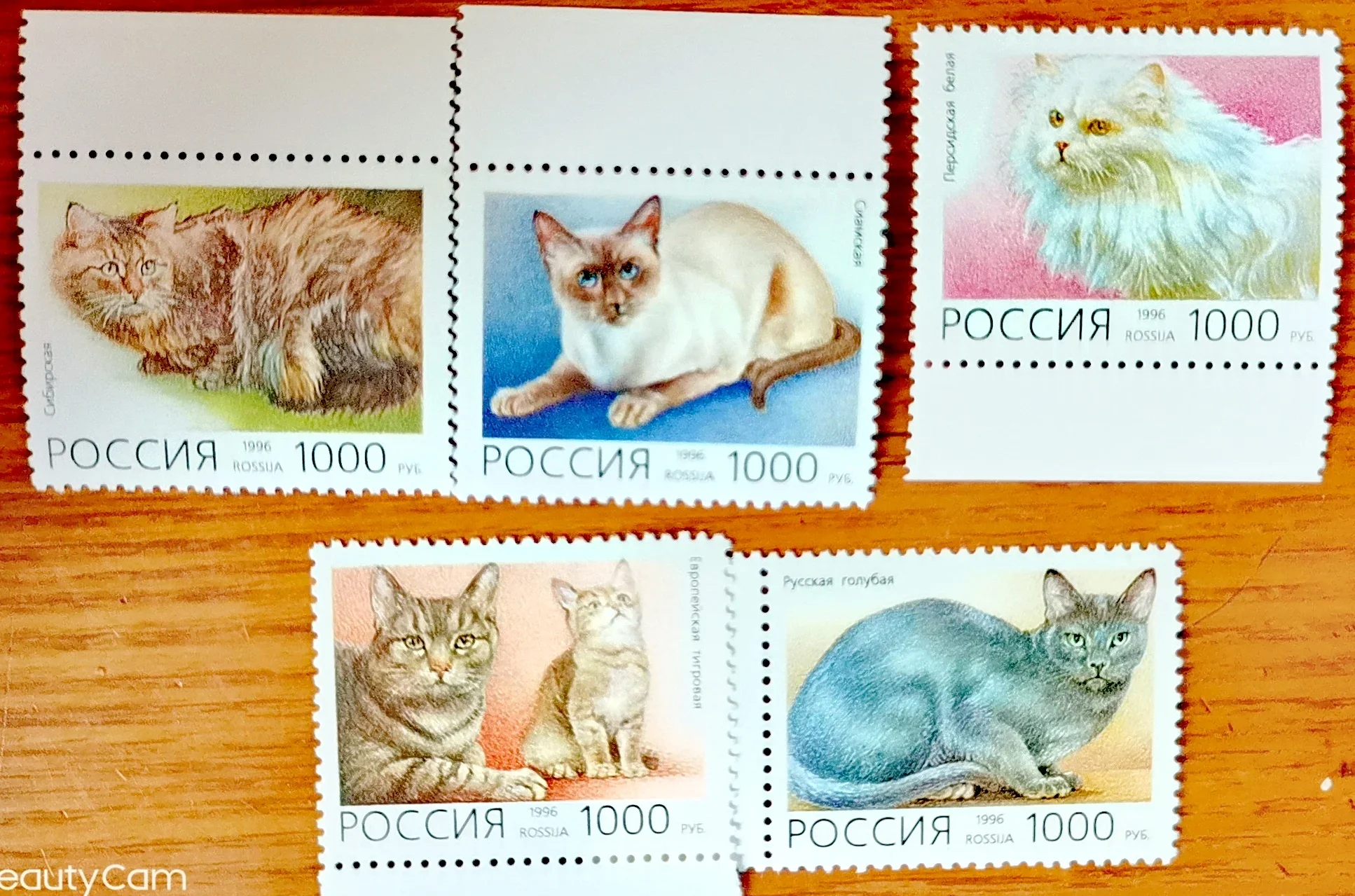 5Pcs/Set New Russia…