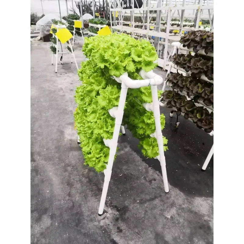 Indoor Hydroponic NFT System Planting Vegetables Double Sides