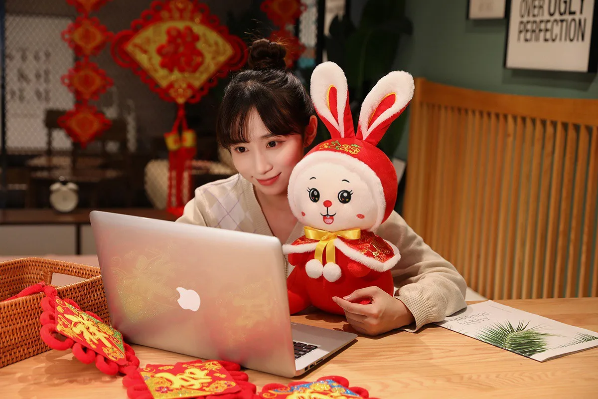 Year Of The Rabbit Mascot 2023 Plush Cape Rabbit Gift Lunar New Year Celebration Festival image 5