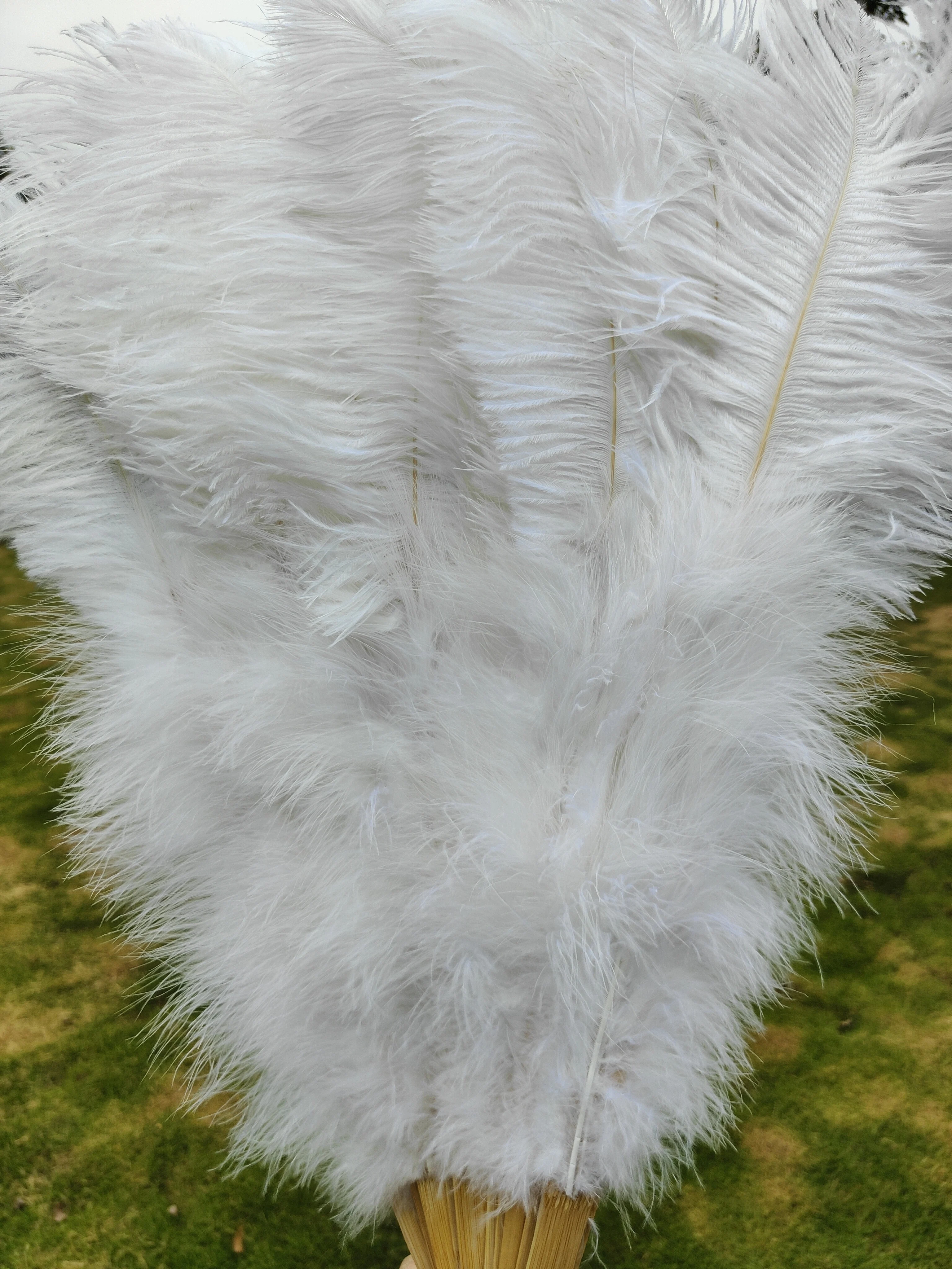 Handheld Big White Ostrich Feather Fan 100CM 130CM Feathers for Carnival Stage Performance Belly Dance 13 Bone Crafts Fan view 3
