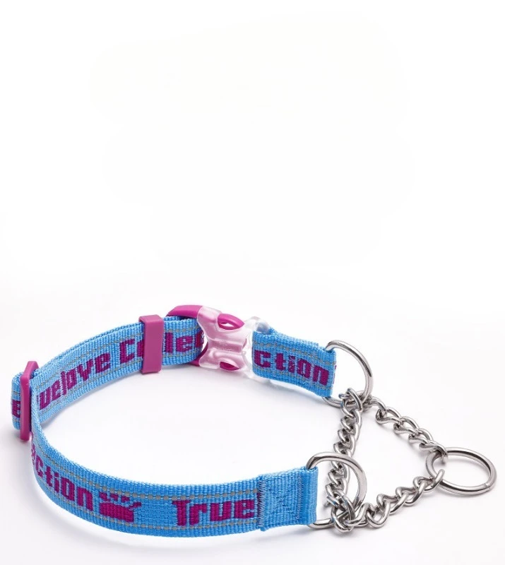 Handsome and Personalized Multi-color Selection Medium and Large Pet Traction Collar Dog Chain Explosion-proof Dog Leash
