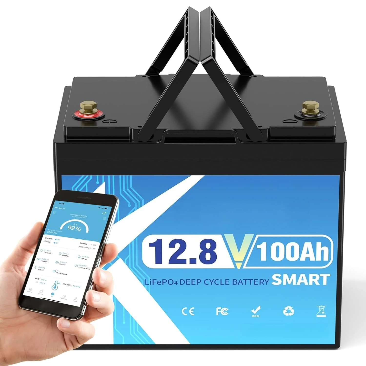 

LiFePO4 Battery 100Ah 12V Lithium Batteries, Built-In 100A Bluetooth BMS with Low-Temp Protection, Group 24 Deep, Customized