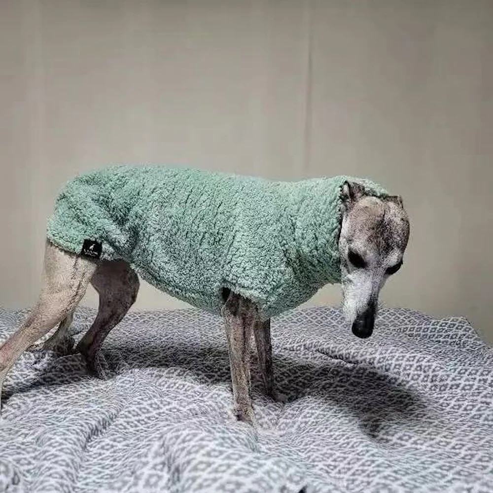 

Winter Jacket For Whippet Fleece Velvet Green Sweatshirt for Italian Greyhound Thick Warm Coat for Small Meida Terrier