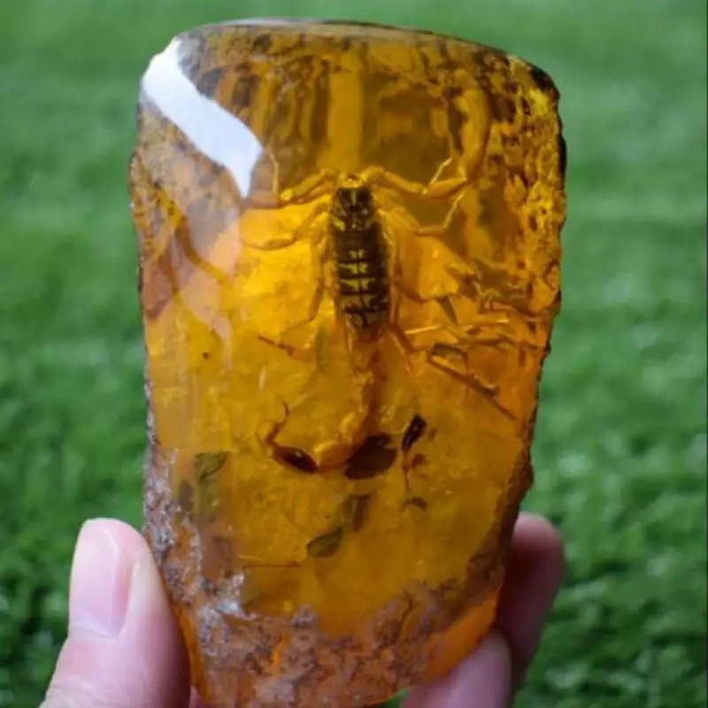 

Chinese Collectible Amber Inner Inlay Scorpion Rare Luy Cone Statue Decor 245G