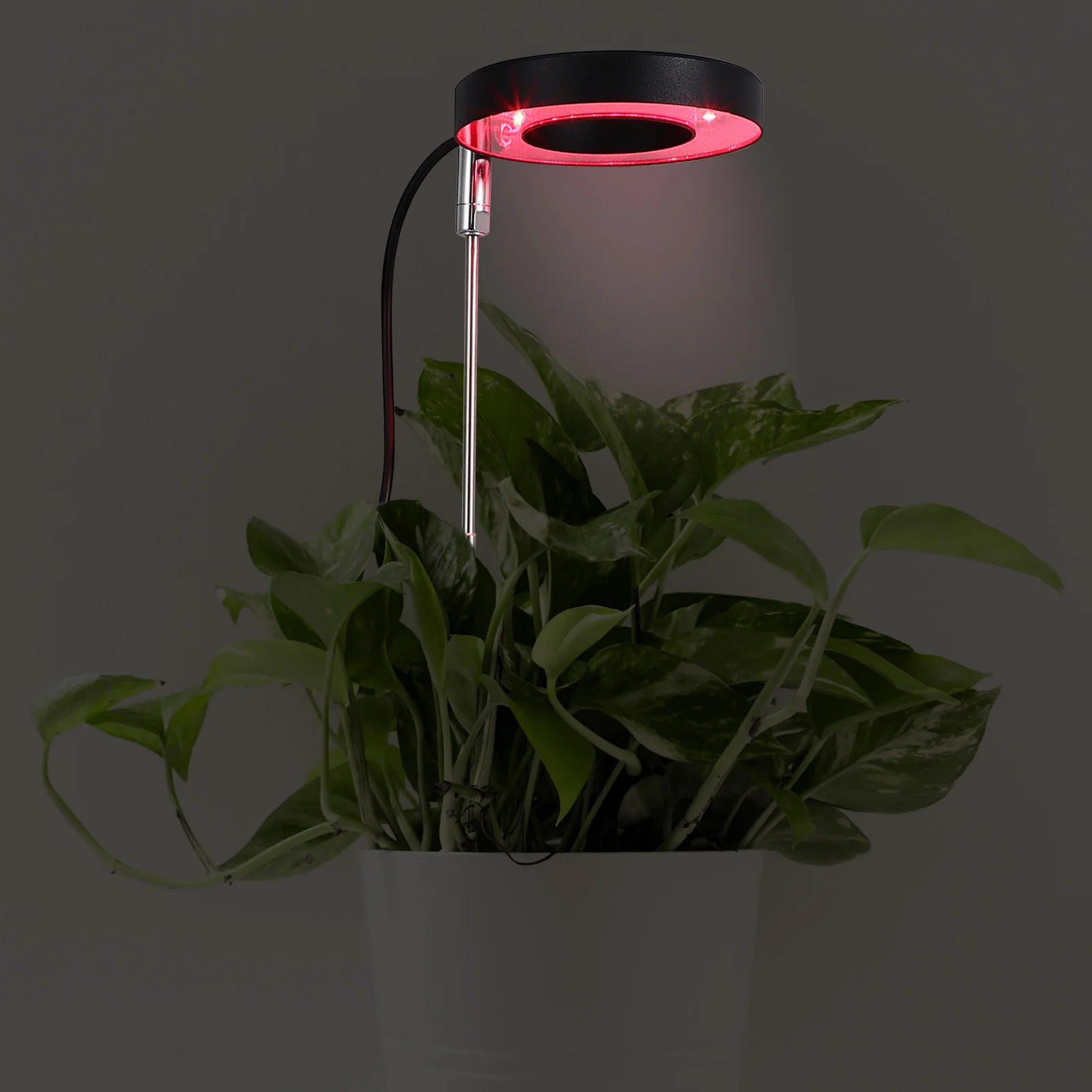 

LED Grow Light 3.5 Inch Red Blue Full Plant Lamp 5W Black Adjustable Timer Angle Rotating Indoor Greenhouse