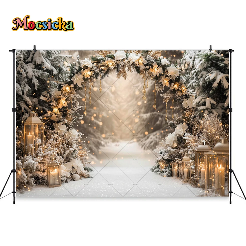 Fond de photographie de Noël d'hiver pour fille, arc de pays des merveilles, porte, lanterne, Noël, fleur, forêt, toile de fond, ALTERPhotozone Studio