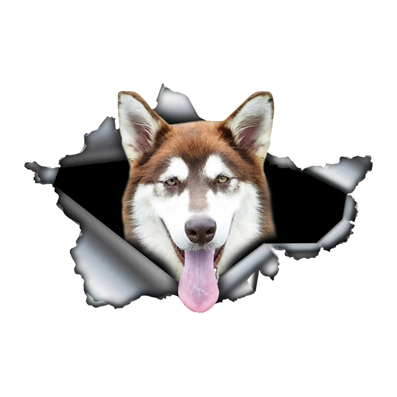 DK541# Car Stickers for Husky Hidden in Holes, Waterproof Irregularly Shaped Car Decoration Decals