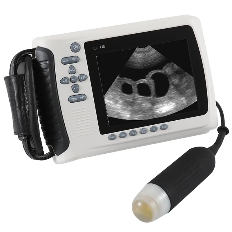 

Veterinary Ultrasound Scaler