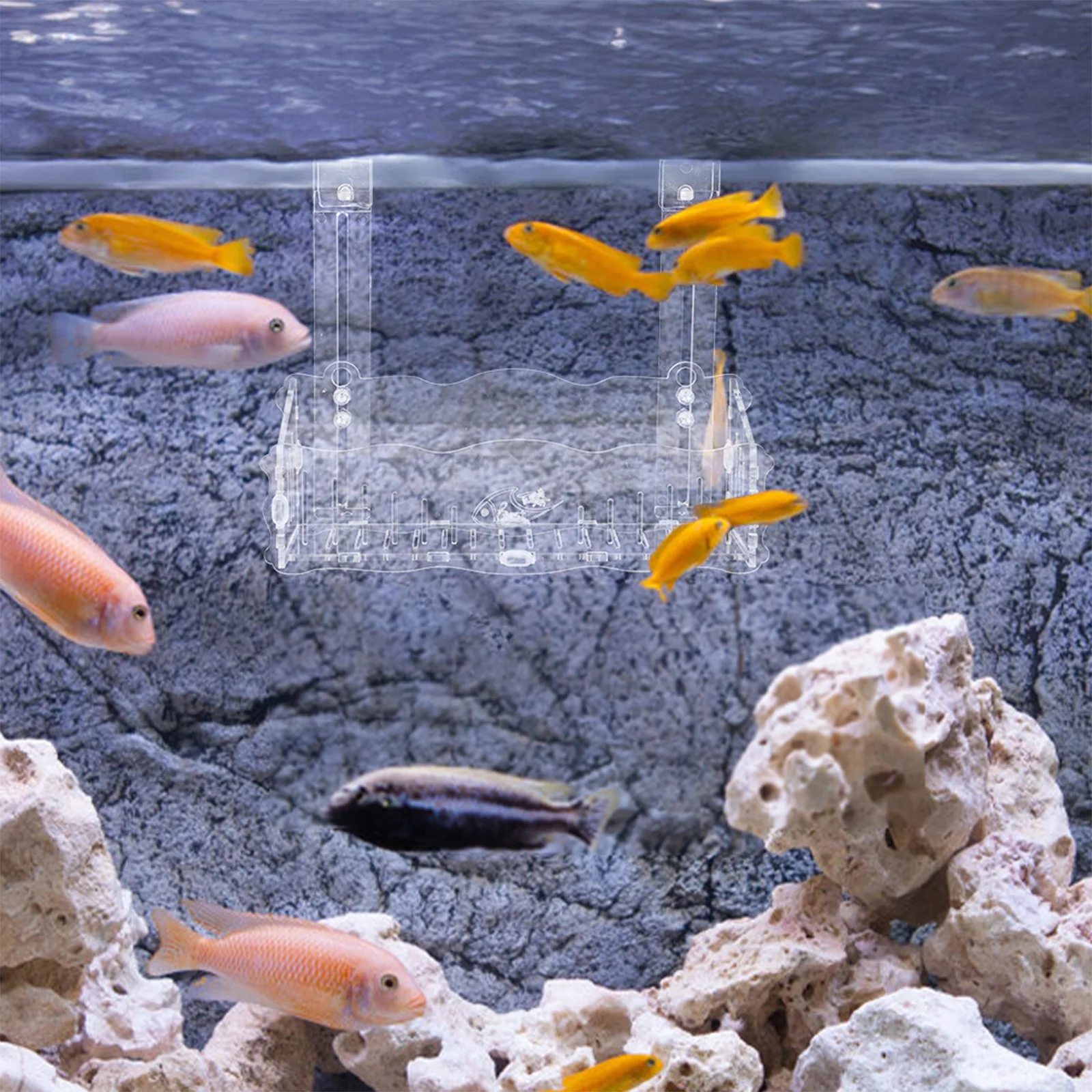 

Fish Tank Aquarium Planter Transparent Acrylic Water Plant Cup Suction Hook Holder Small Aquarium Planting Cup Clear Fish Tank