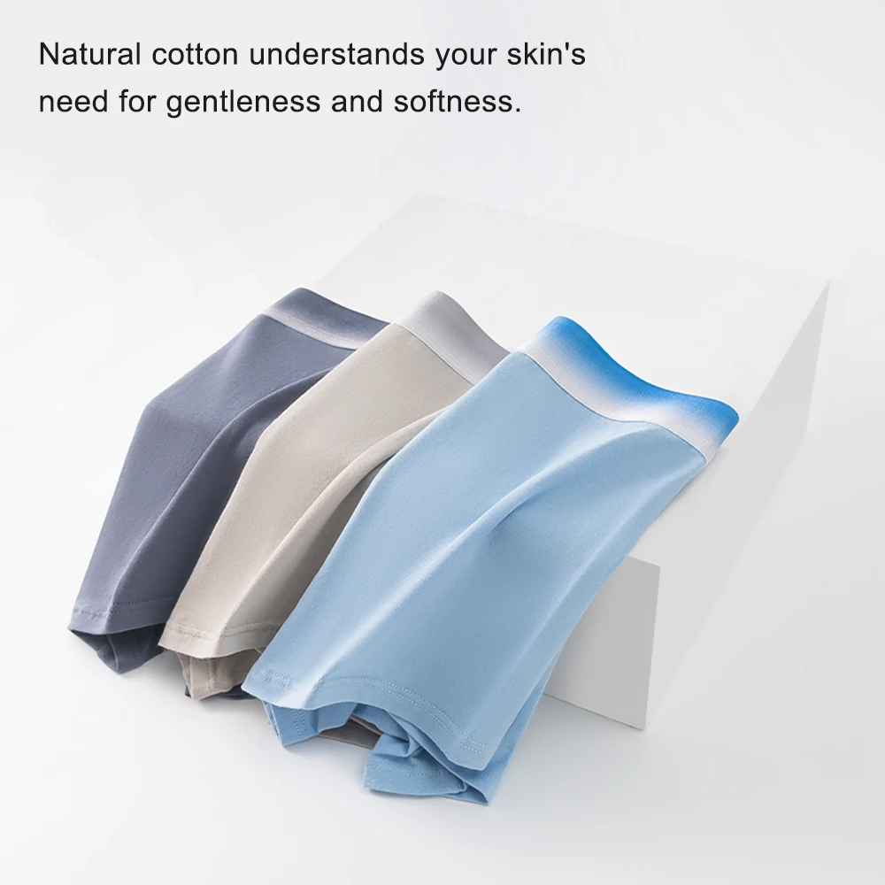 5 Pack Plus Size Men's Cotton Boxers Wide Gradient Waist 10A Antibacterial Breathable Underwear view 4