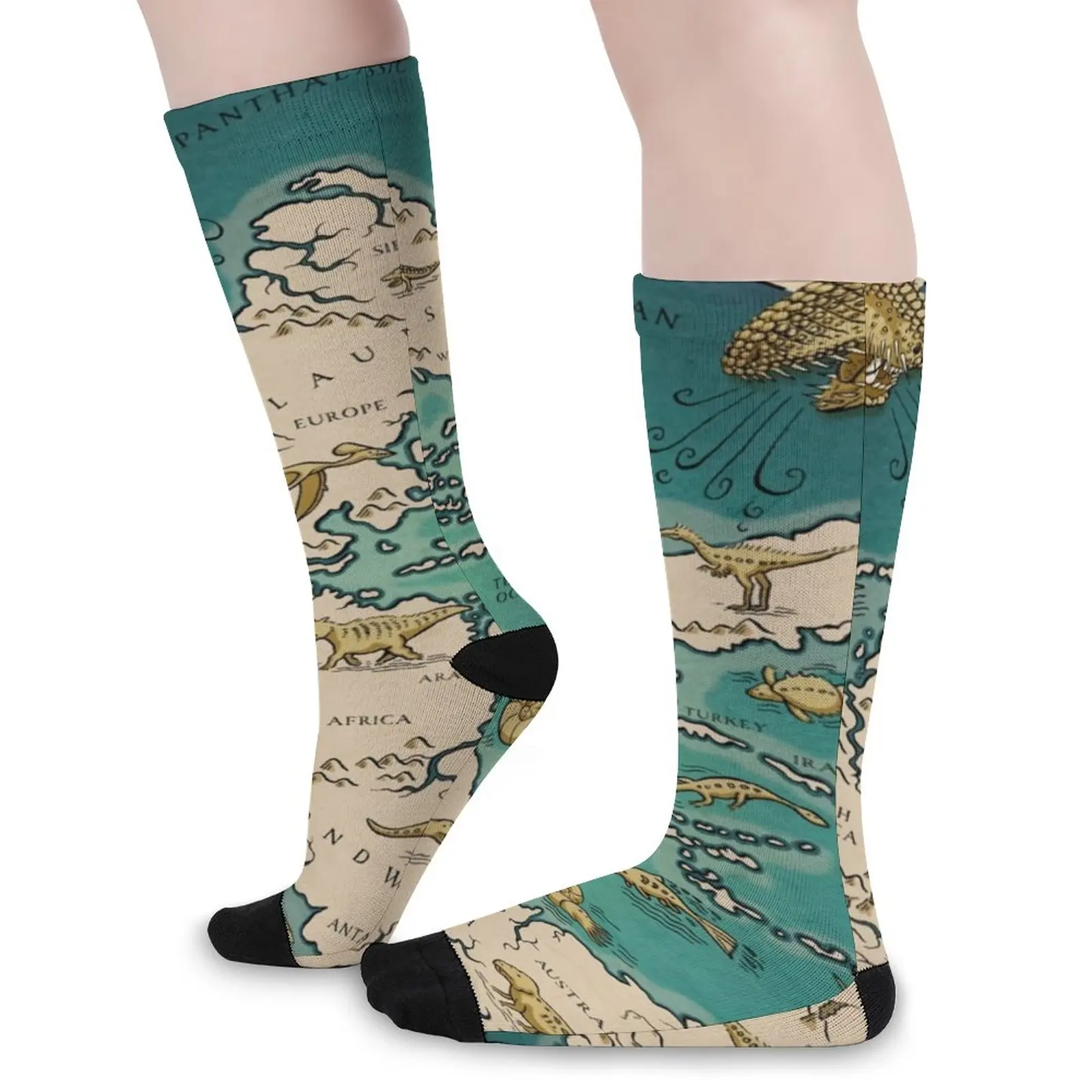 Vintage Map Socks Autumn Supercontinent Pangaea Stockings Fashion Couple Breathable Socks Design Sports Anti Bacterial Socks