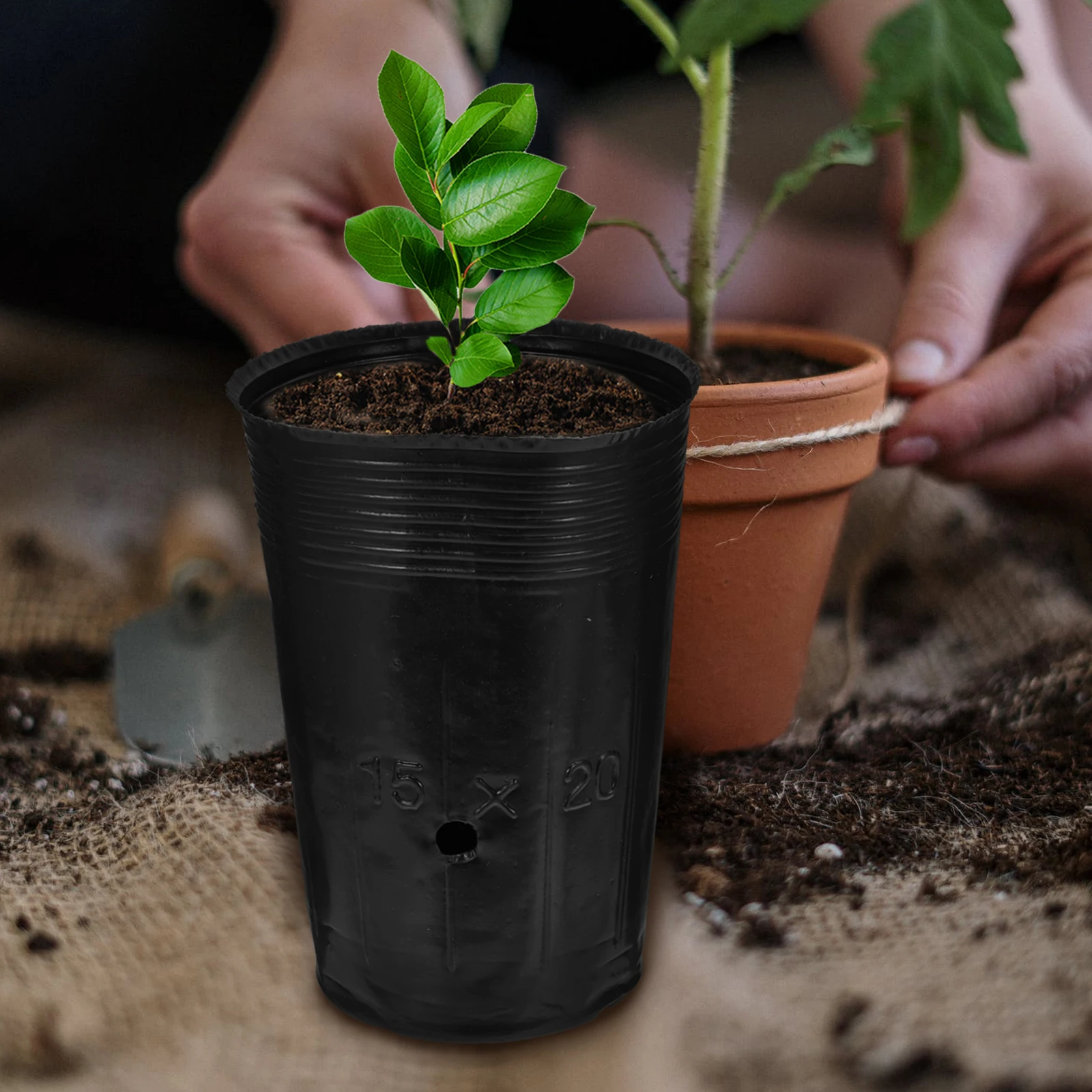 

100 Pcs Black Citrus Seedling Bags 12x25 Durable Plant Grow Bags for Vegetables Flowers Gardening Nursery Pouches Plastic