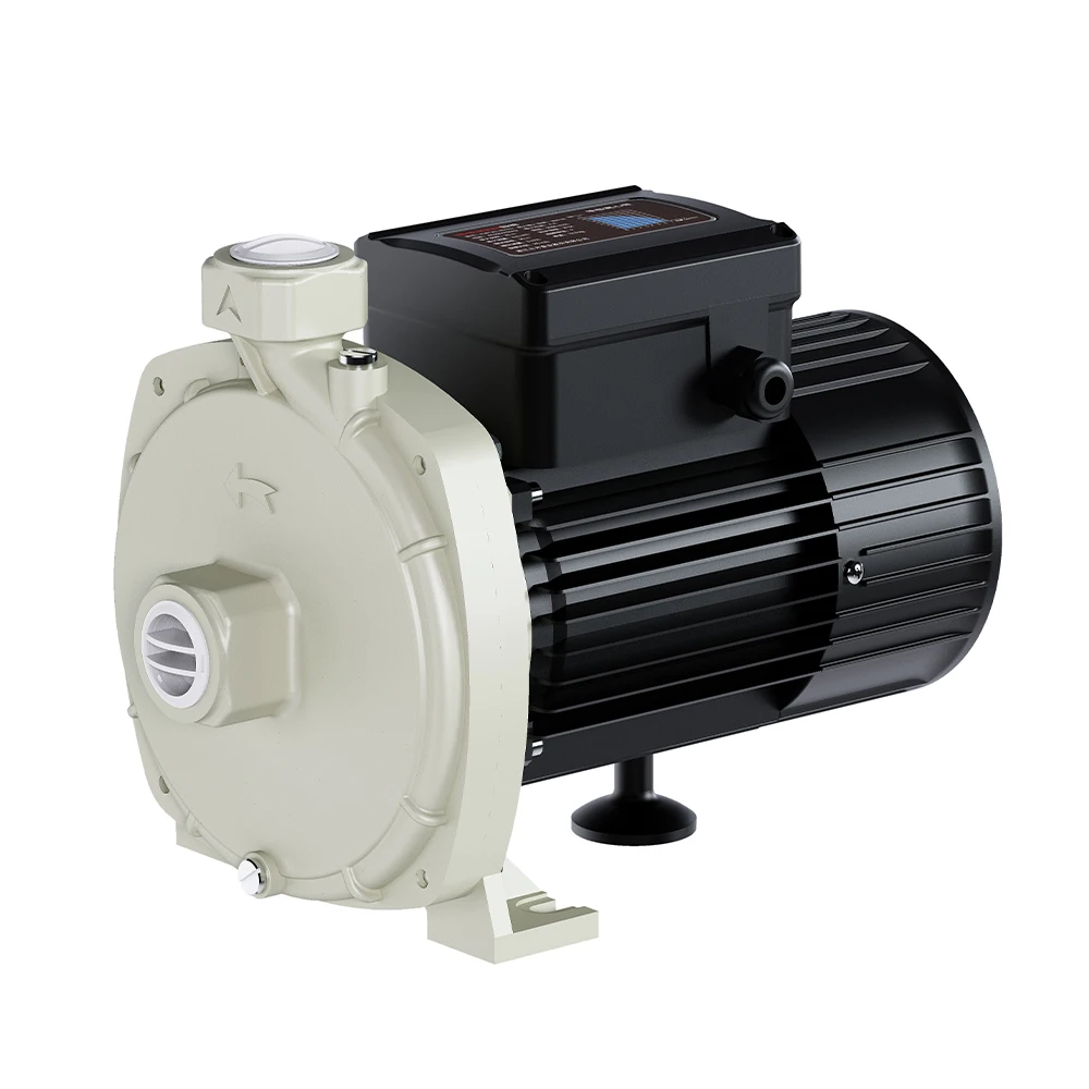 

House Pressure Garden Electric 30m Head Water Pumps For Drip Irrigation