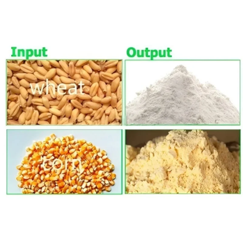 Wholesale Price Birui High-Accuracy Flat Die Feed Pellet Machine With Motor Cast Iron For Chick Duck Cow Rabbit Household