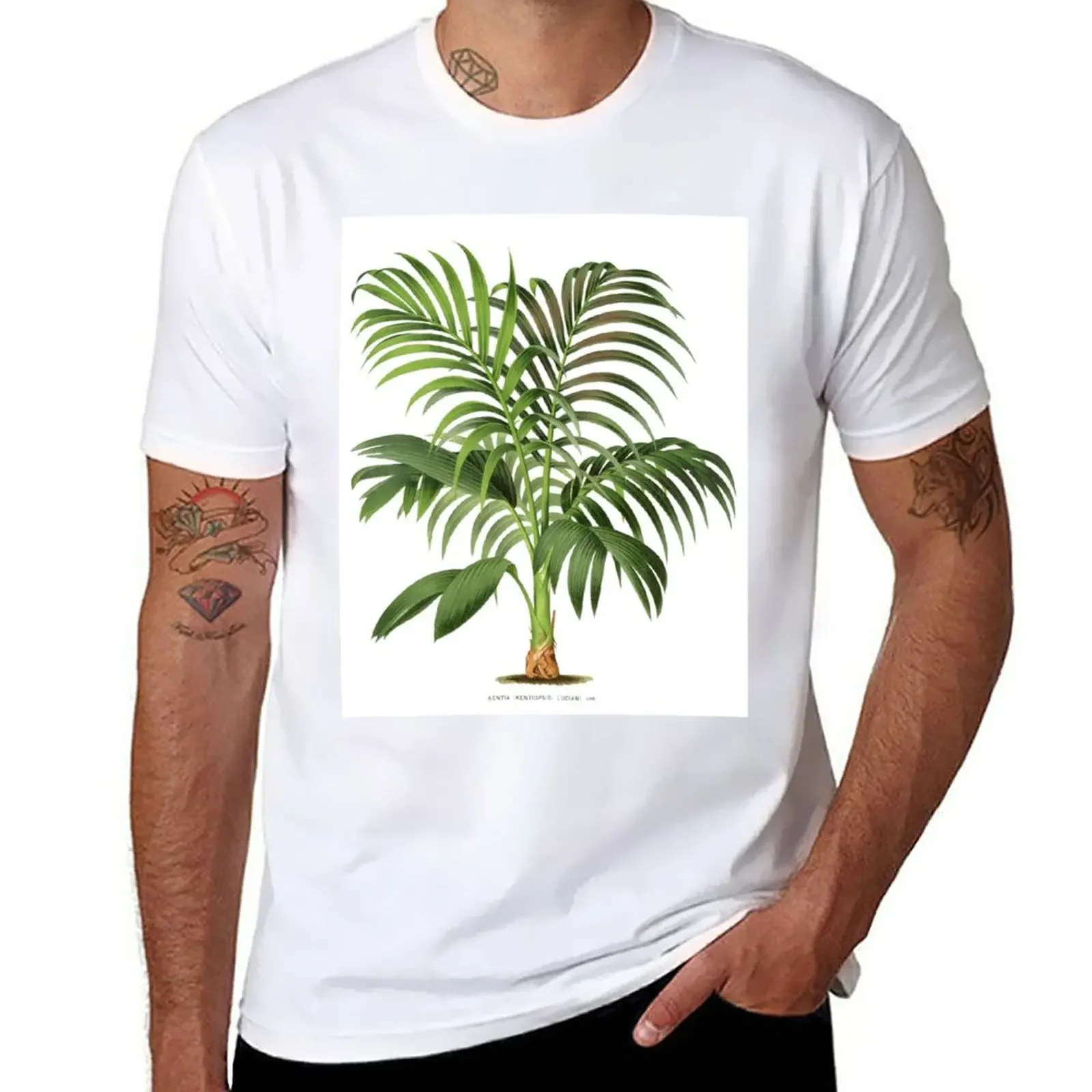 Kentia Palm - Luciani T-Shirt vintage Blouse plain t shirts men