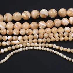Natural Freshwater Top Shell Brown White Round Beads Handmade DIY Jewelry Making Necklace Earrings Hand String Accessories