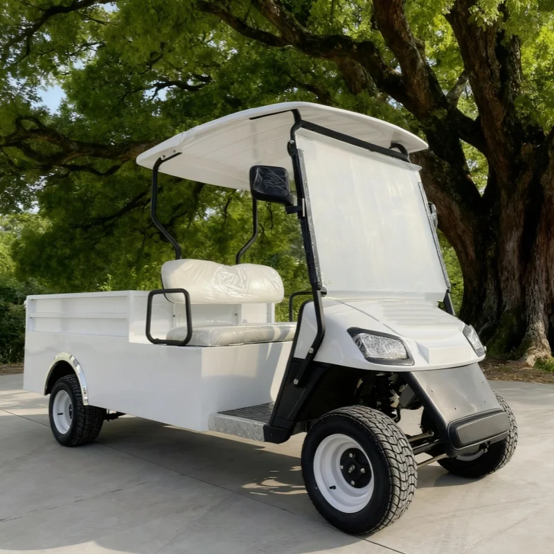 

Scenic Sport Club Car Adult Electric Go Kart 2 Seater Electric Golf Cart Lithium Electric Folding Cargo Cart With Rear Cargo Box