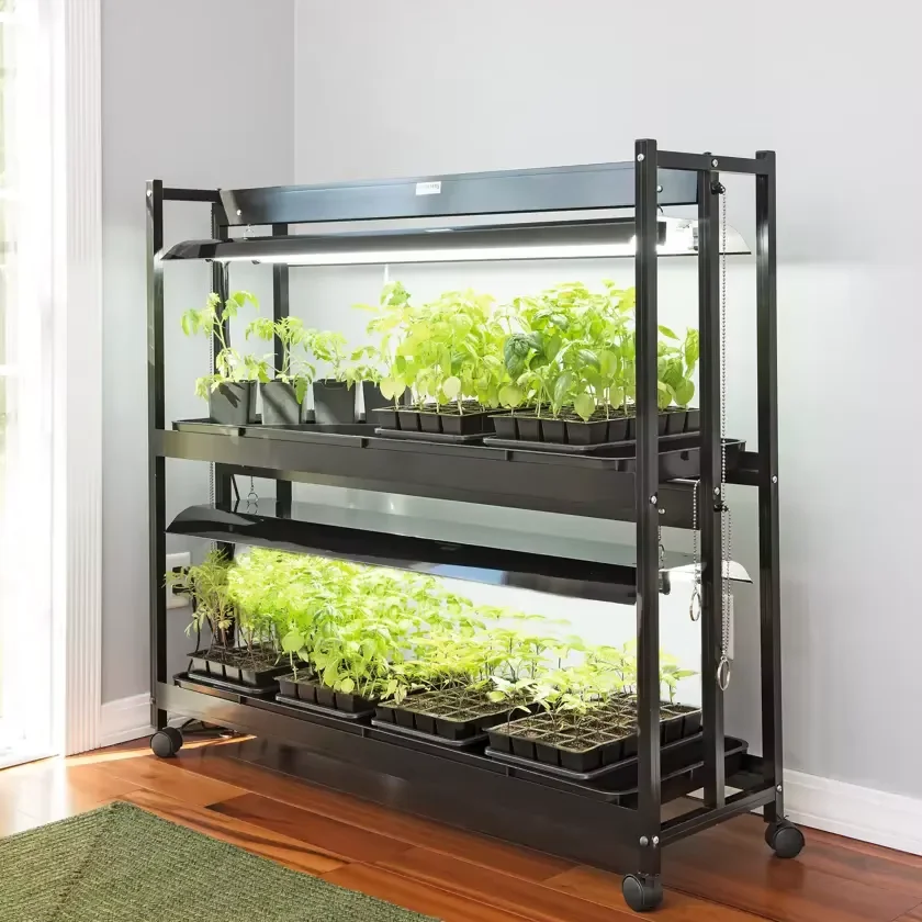Smart home products for growing vegetables in modern households